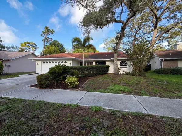 1015 Knollwood Court, SAFETY HARBOR, FL 34695