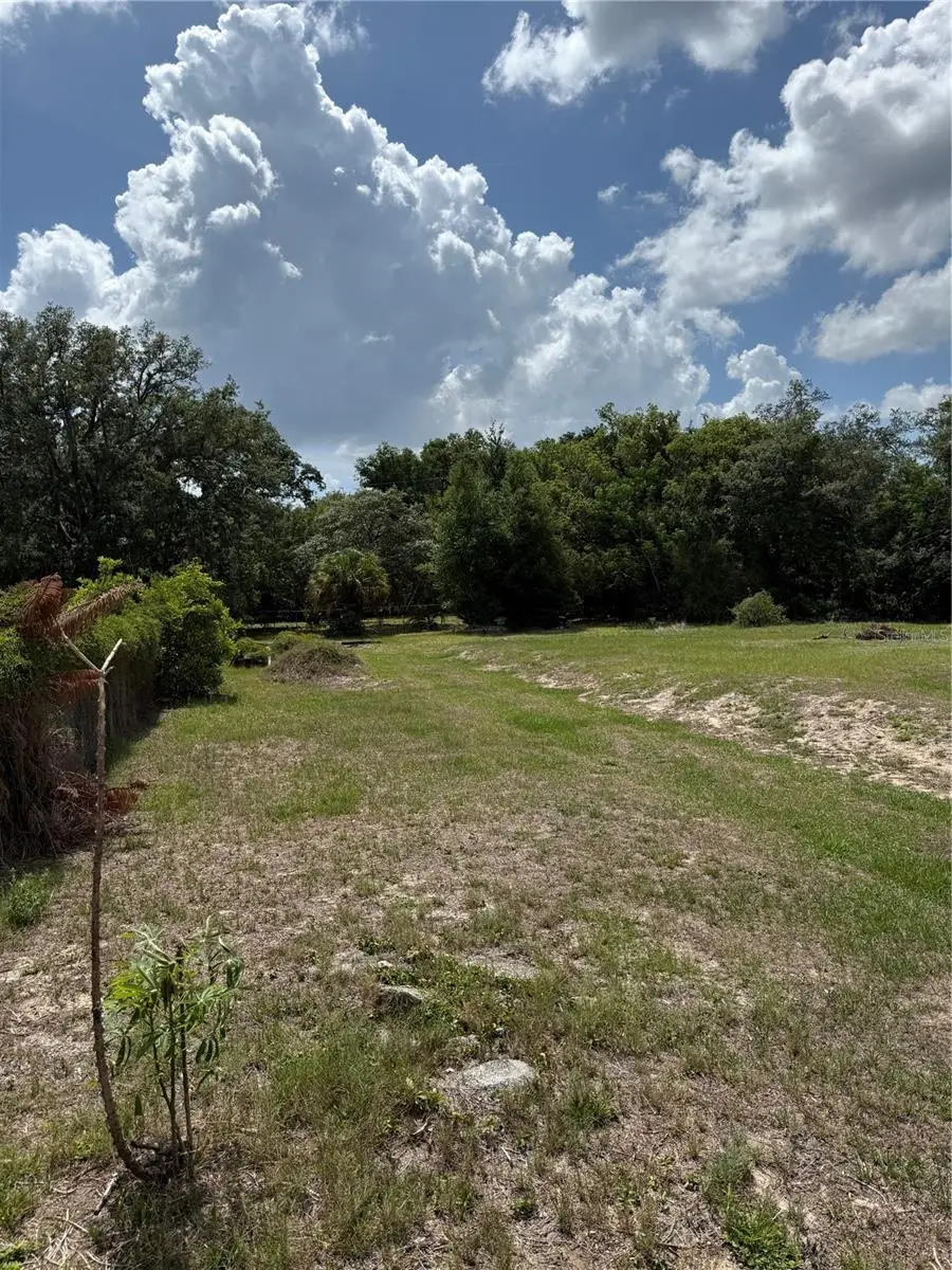 Enka Way, Orlando, FL 32818 - #2