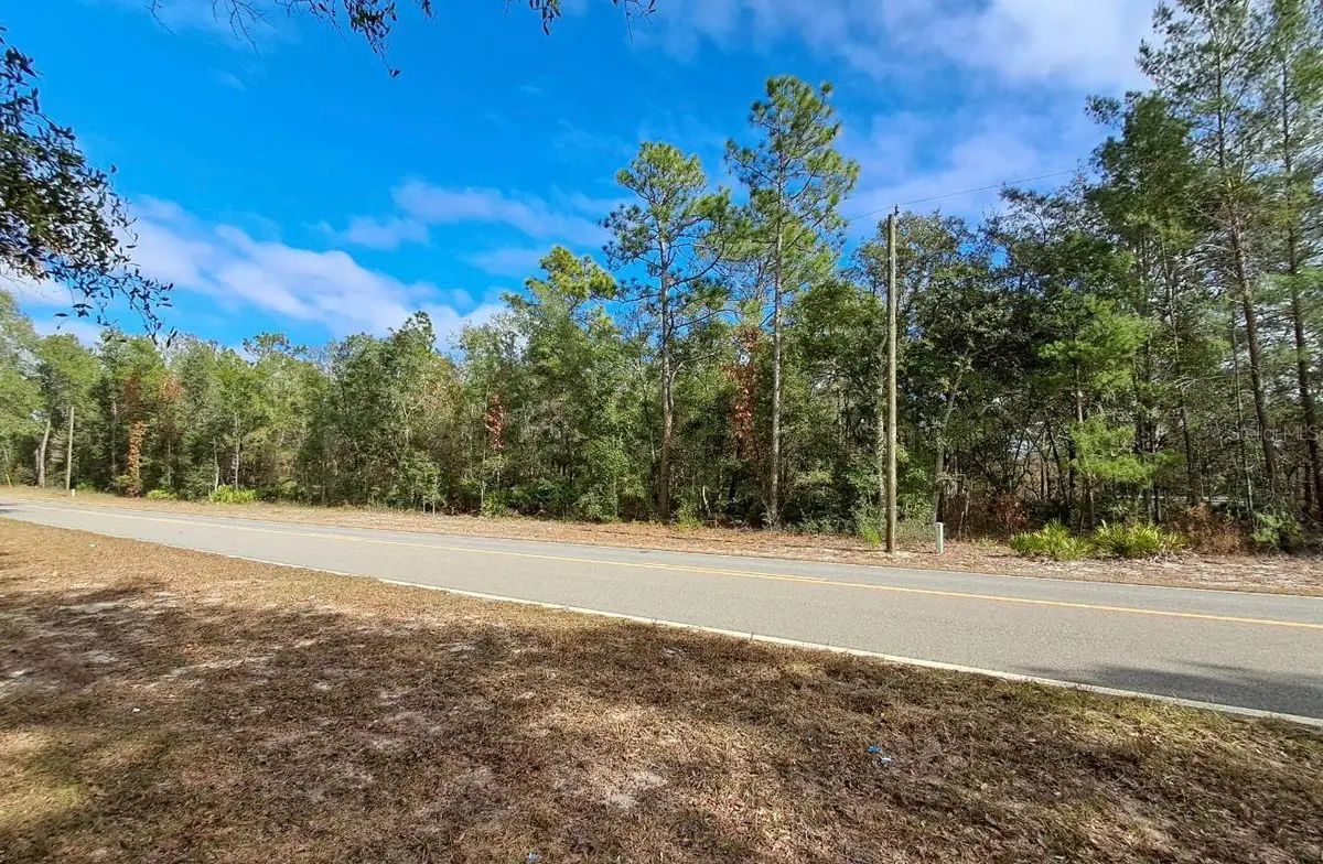 TBD Tbd, Interlachen, FL 32148 - #1
