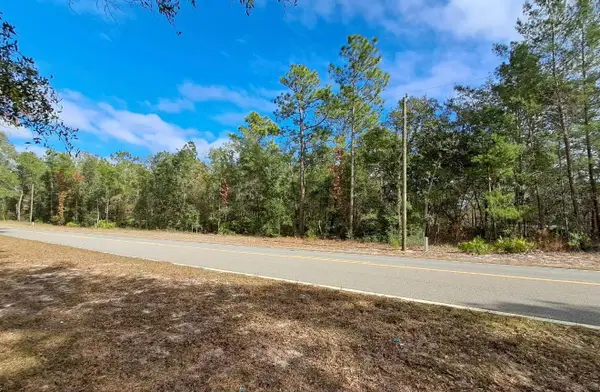 TBD Tbd, INTERLACHEN, FL 32148