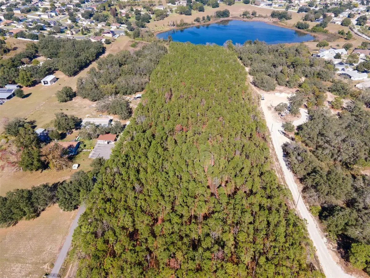 Lost Lake Road, Clermont, FL 34711 - #1