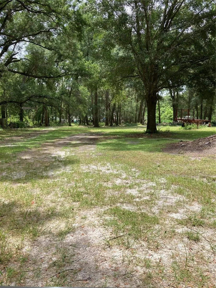 E Pine Avenue, Mount Dora, FL 32757 - #1