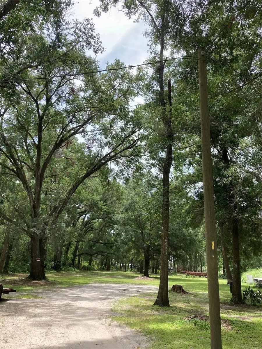 E Pine Avenue, Mount Dora, FL 32757 - #2