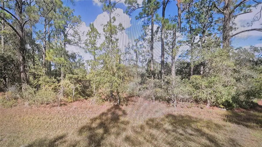 Plumosa Drive, Indian Lake Estates, FL 33855 - #2