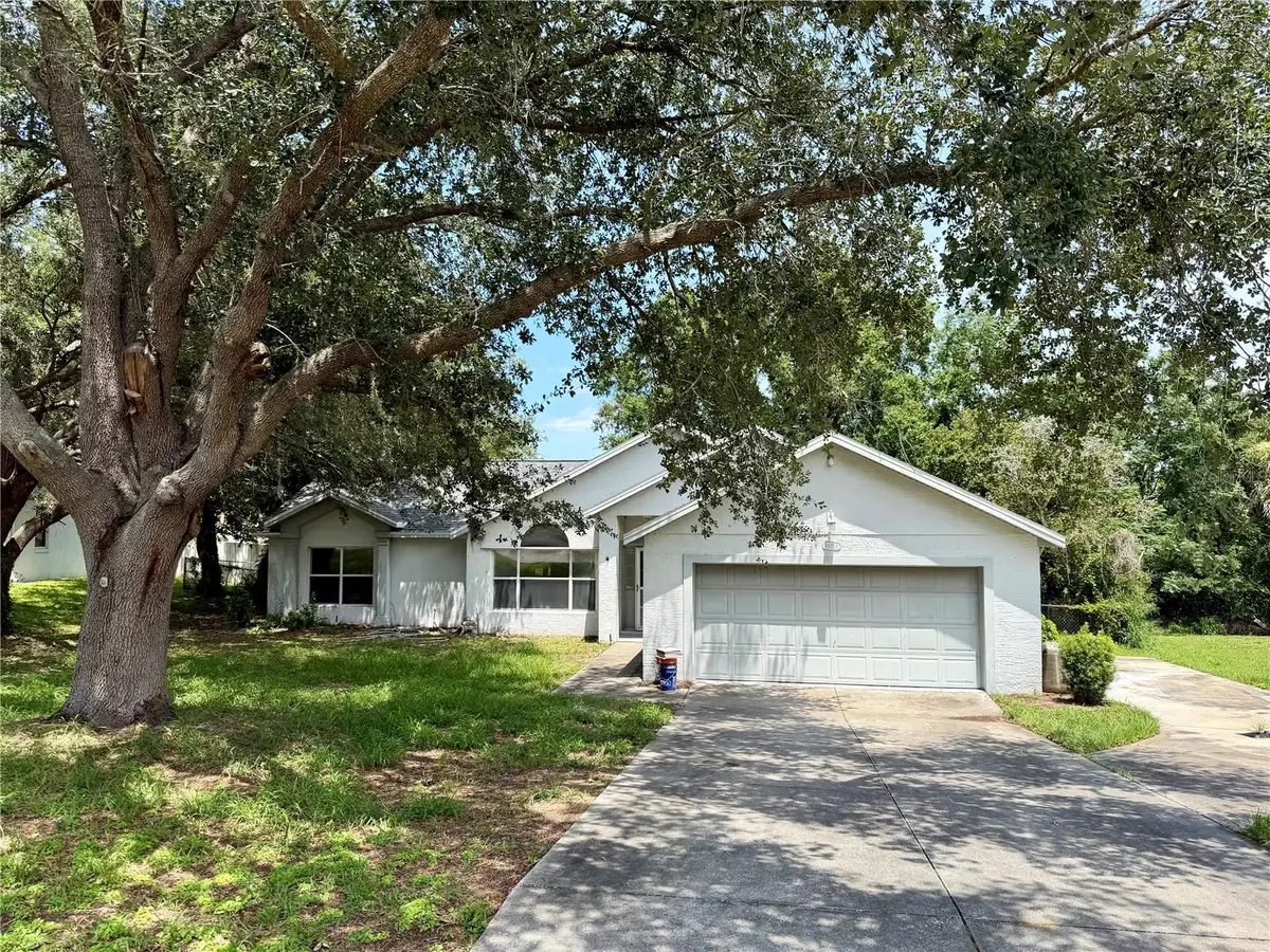 10258 Joanies Run, Leesburg, FL 34788 - #1