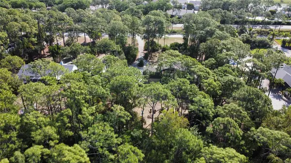 25461 Luci Drive, BONITA SPRINGS, FL 34135