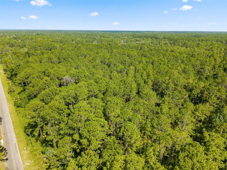 Apricot Avenue, Eustis, FL 32736 - #3