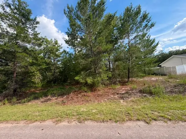 131 Malauka Run, OCKLAWAHA, FL 32179