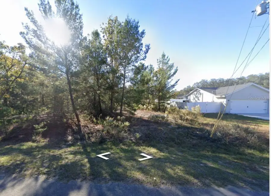131 Malauka Run, Ocklawaha, FL 32179 - #2