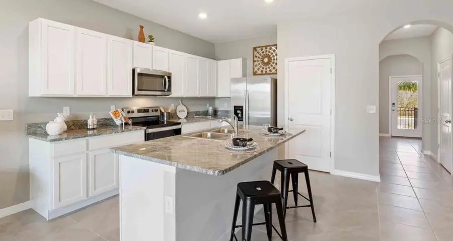 32202 Turtle Grace Loop, Wesley Chapel, FL 33545 - #2