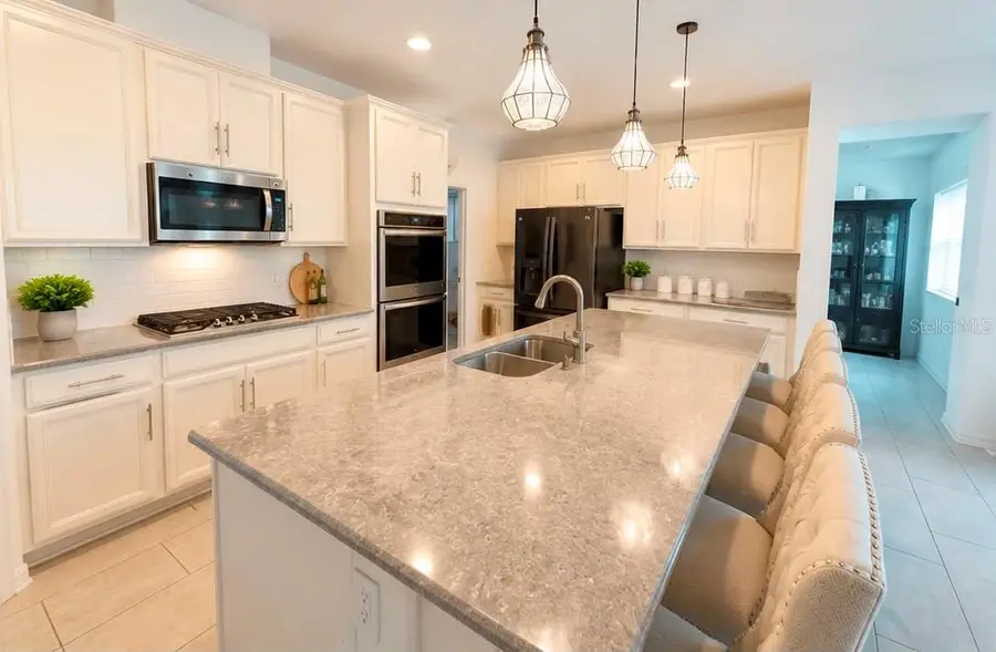 2822 Bigleaf Maple Drive, Ocoee, FL 34761 - #2