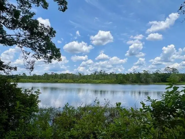 Vista Street, Lake Helen, FL 32744 - #3