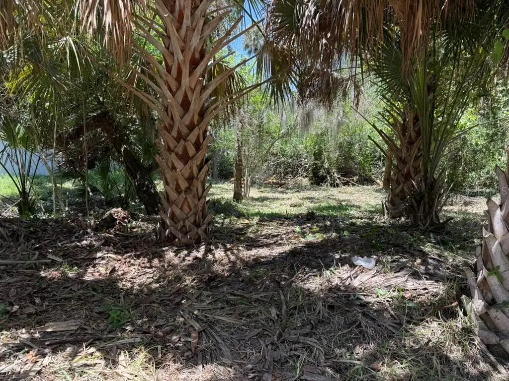 110 Oak Street, Flagler Beach, FL 32136 - #1