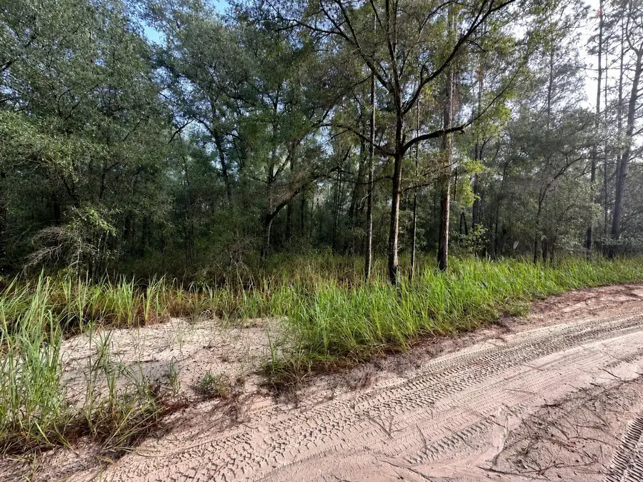 SW 40th Street, Ocala, FL 34481 - #3