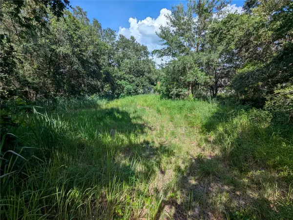 6631 Merle Street, MULBERRY, FL 33860