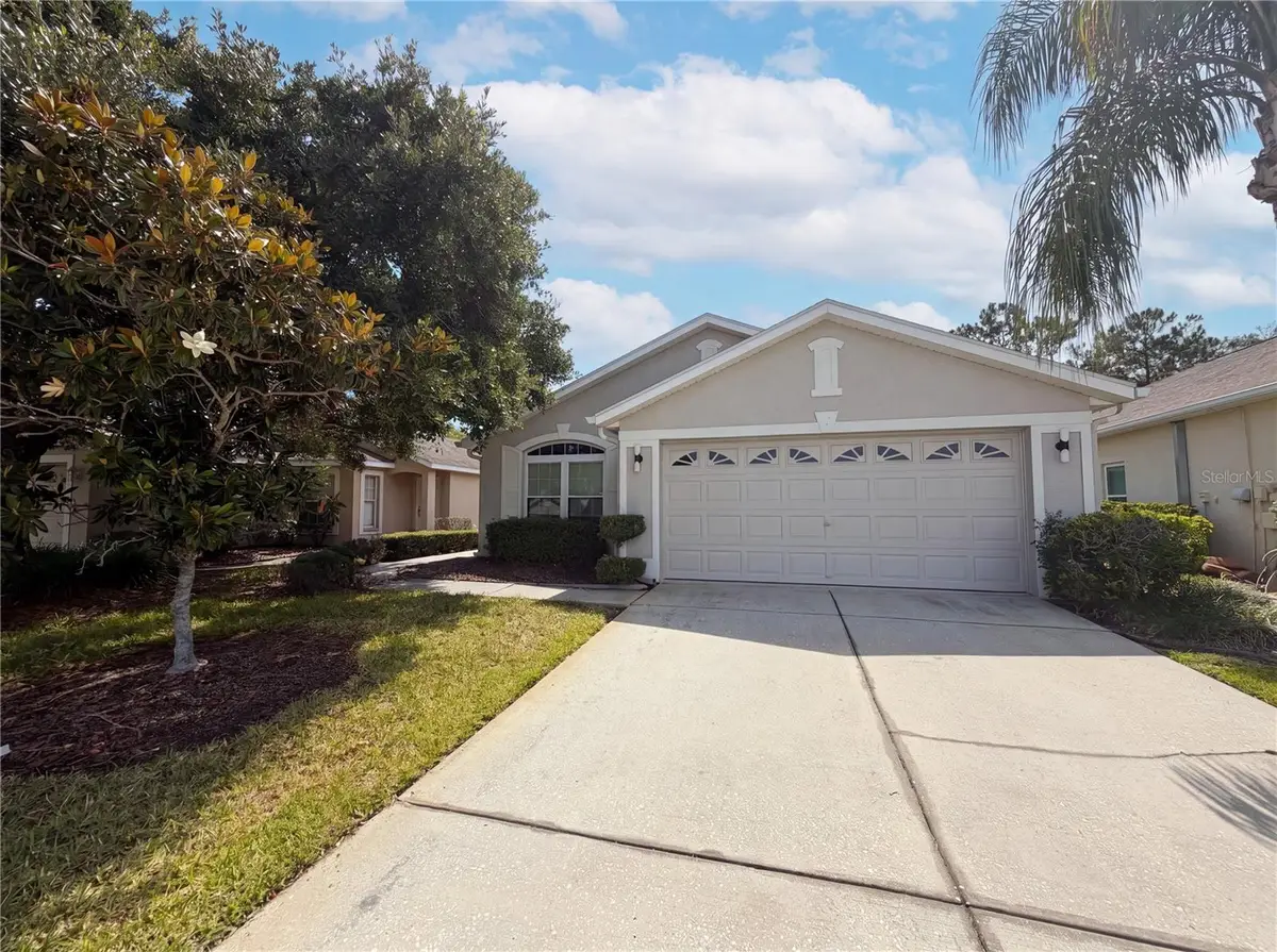 3133 Banyan Hill Lane, Land O Lakes, FL 34639 - #1