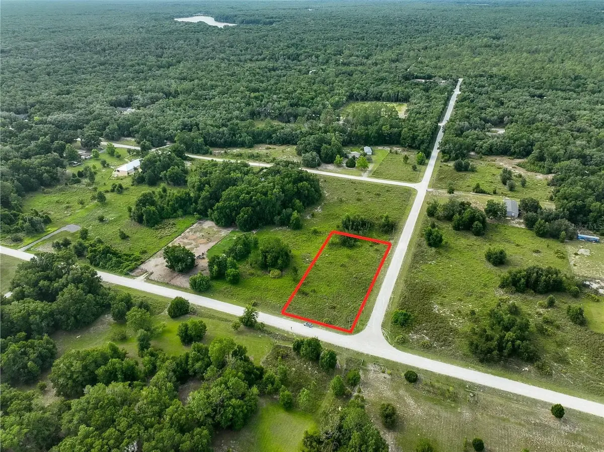 9017 Split Stone Drive, Webster, FL 33597 - #1