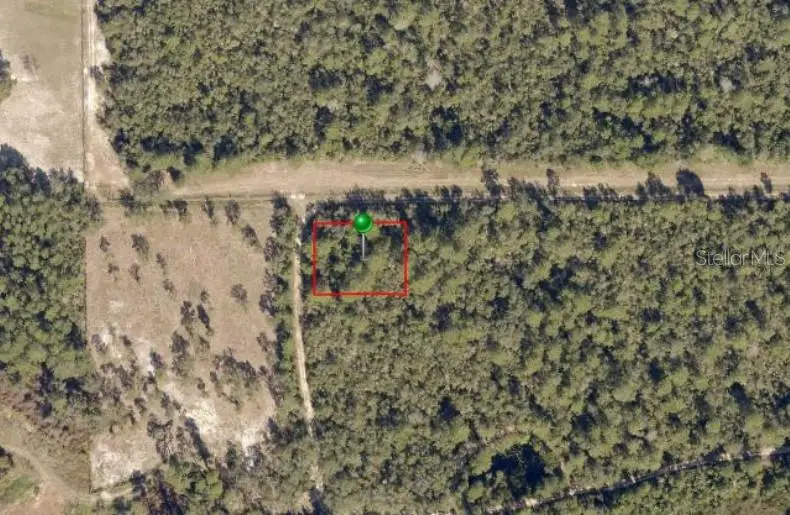 No Street, De Leon Springs, FL 32130 - #2