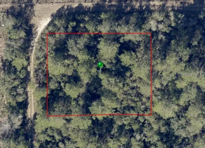 No Street, De Leon Springs, FL 32130 - #3