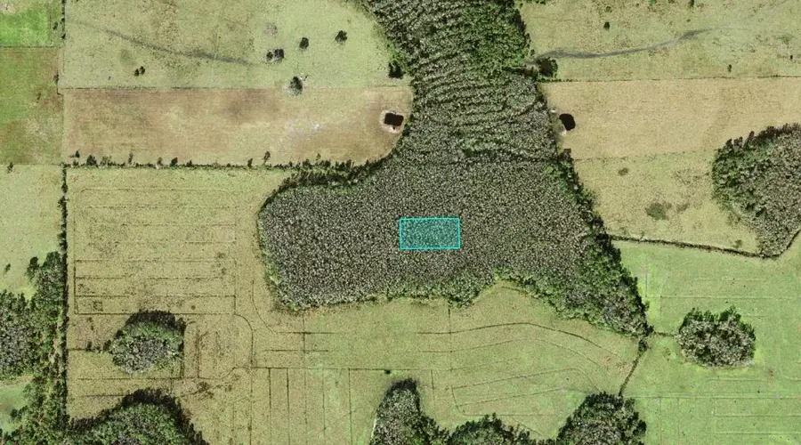 No Street, Polk City, FL 33868 - #3