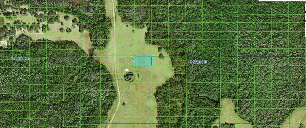 Commonwealth Avenue N, POLK CITY, FL 33868