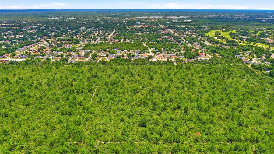 Amelia (paper) Avenue, Deltona, FL 32725 - #3