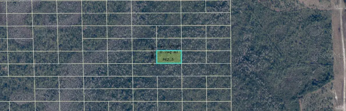 Dill Road, Orlando, FL 32820 - #1