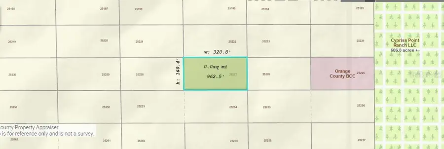 Dill Road, Orlando, FL 32820 - #2