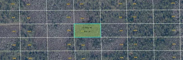 Dill Road, ORLANDO, FL 32820