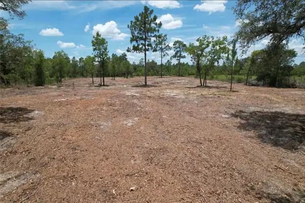 NE 56th Street, BRONSON, FL 32621