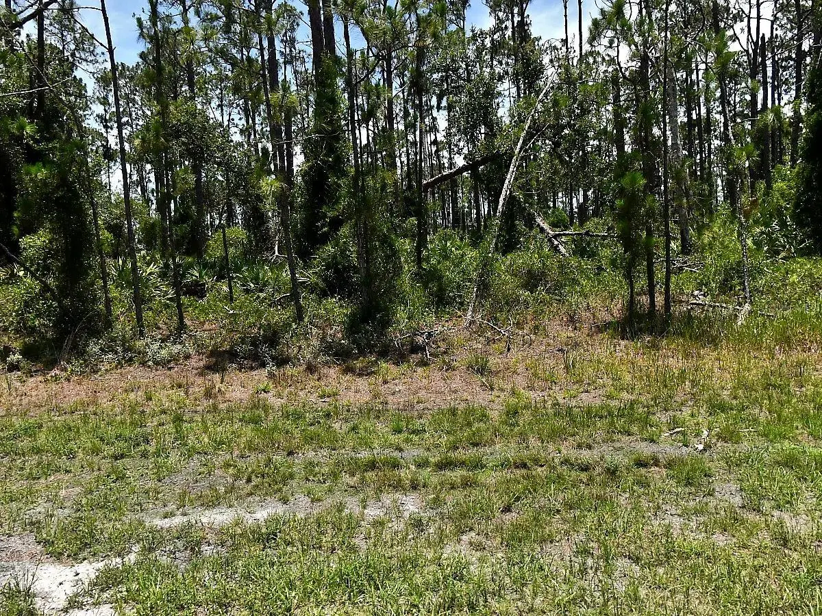 Tropicaire Boulevard, North Port, FL 34291 - #1
