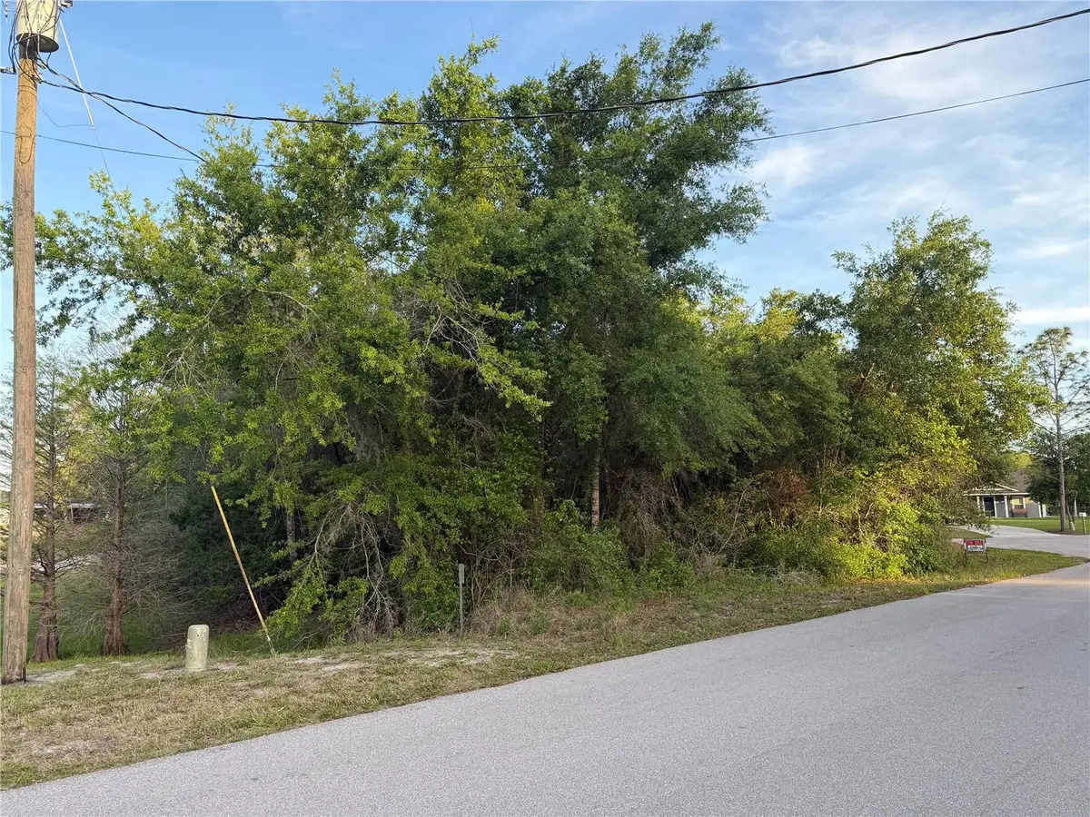 Magnolia Circle, Lake Wales, FL 33898 - #1