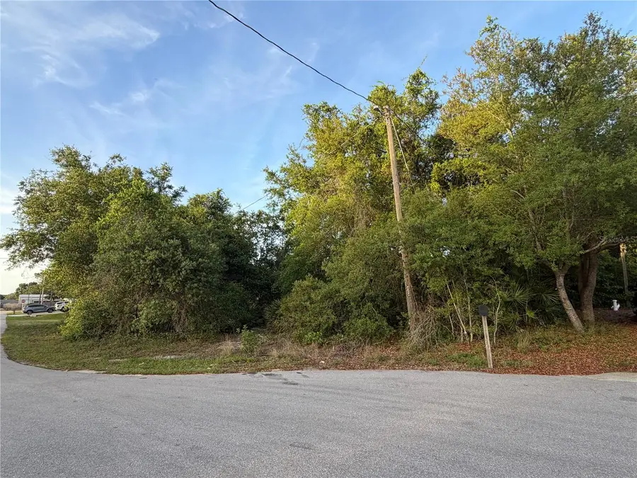 Magnolia Circle, Lake Wales, FL 33898 - #2