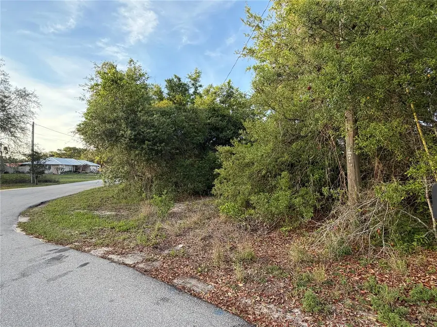 Magnolia Circle, Lake Wales, FL 33898 - #3