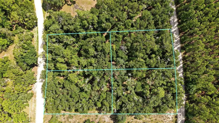 NW 50th Terrace, Bell, FL 32619 - #2