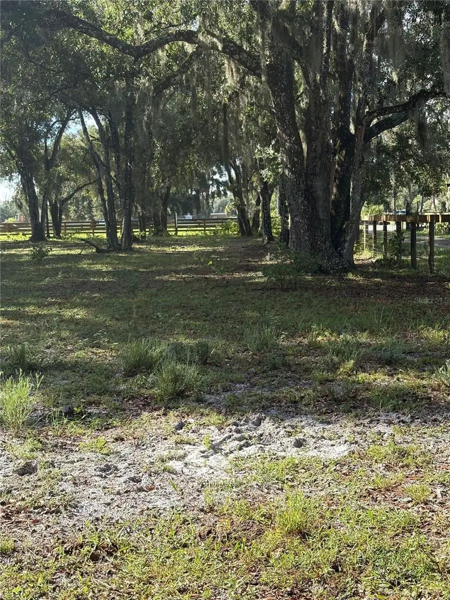 Curryville Road, Chuluota, FL 32766 - #2
