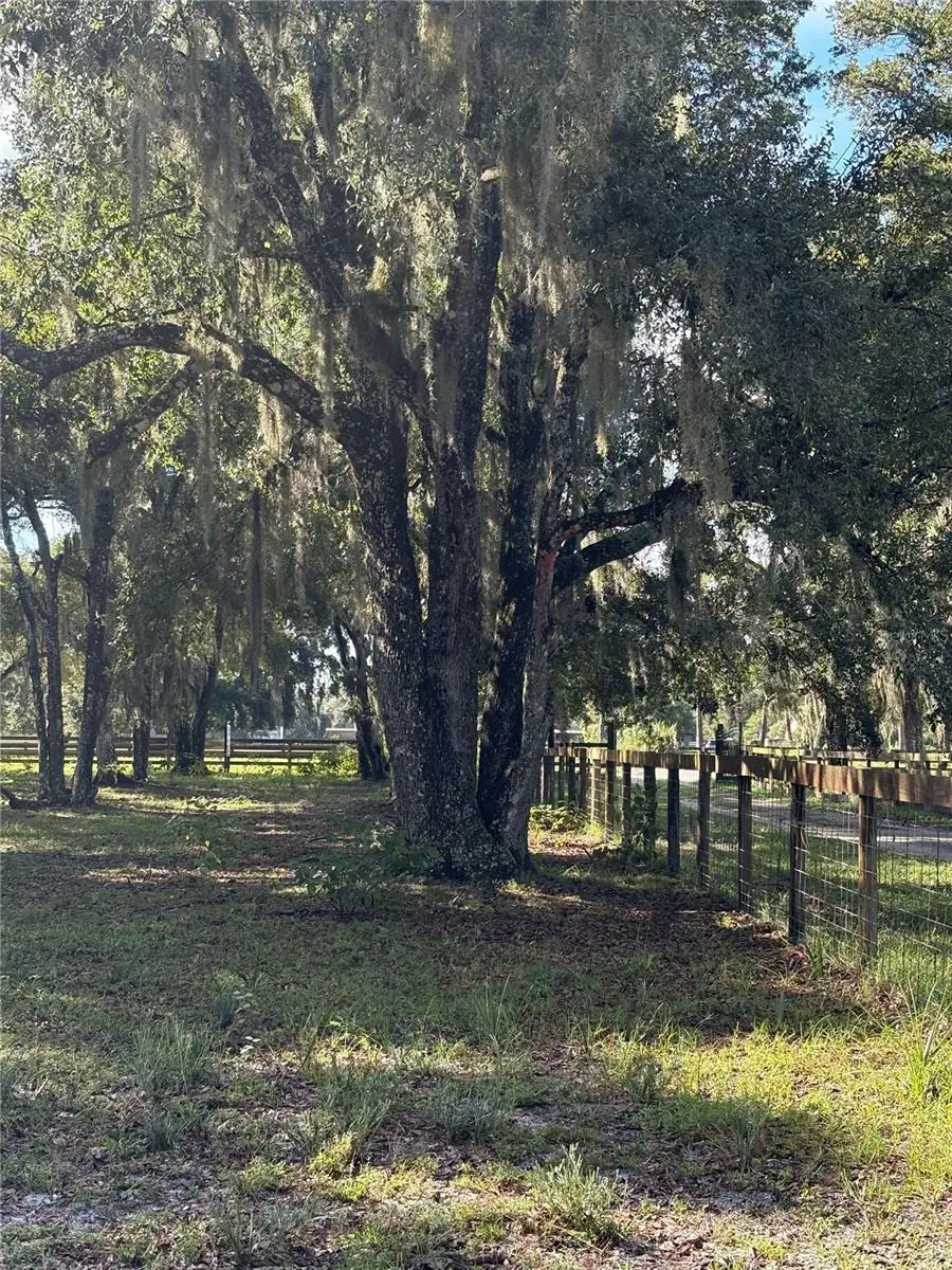 Curryville Road, Chuluota, FL 32766 - #3