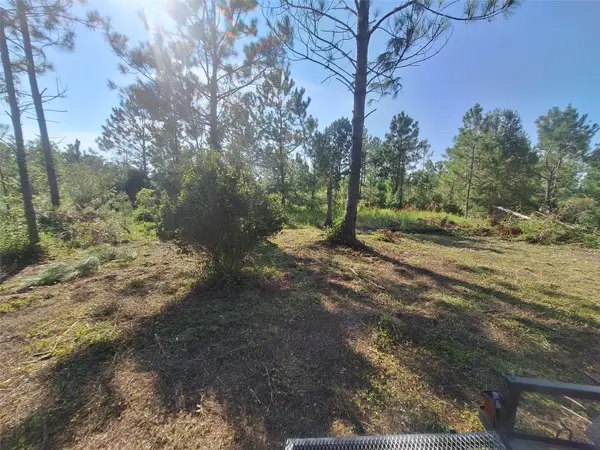 0 Unassigned Location Re, PERRY, FL 32348