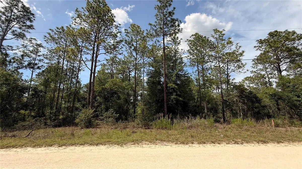 Undetermined, Dunnellon, FL 34432 - #1