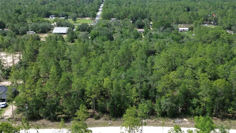Undetermined, Dunnellon, FL 34432 - #3