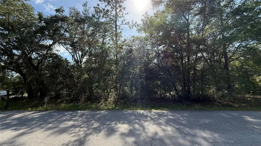 Undetermined, Dunnellon, FL 34431 - #2