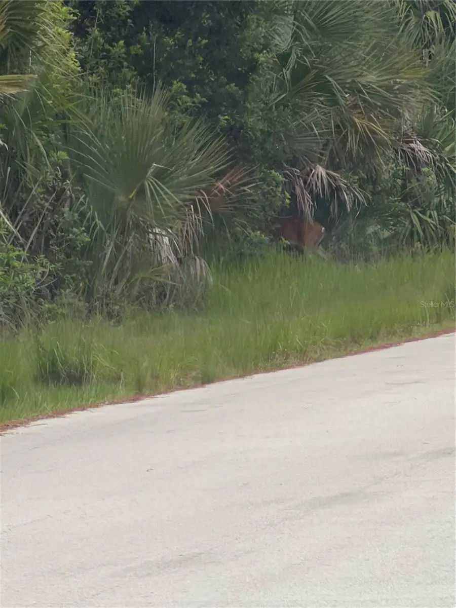 TBD SW 129th Loop, Ocala, FL 34473 - #1