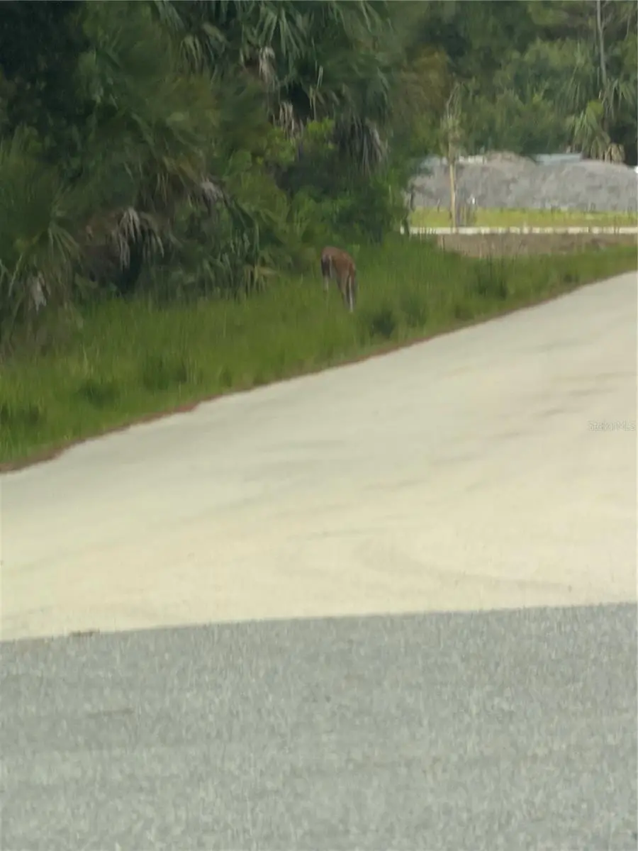 TBD SW 129th Loop, Ocala, FL 34473 - #3