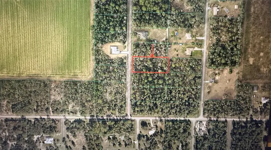 00 Southwest Valencia Heights Avenue, Dunnellon, FL 34431 - #3