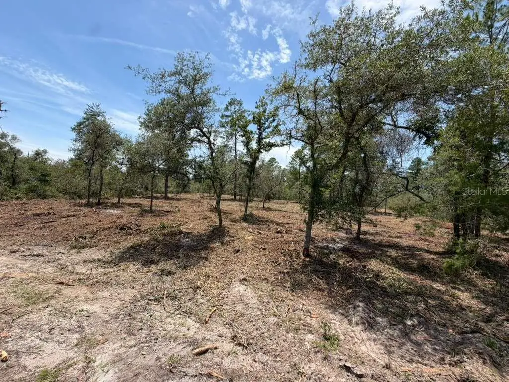 Fisher Way Track, Ocklawaha, FL 32179 - #1