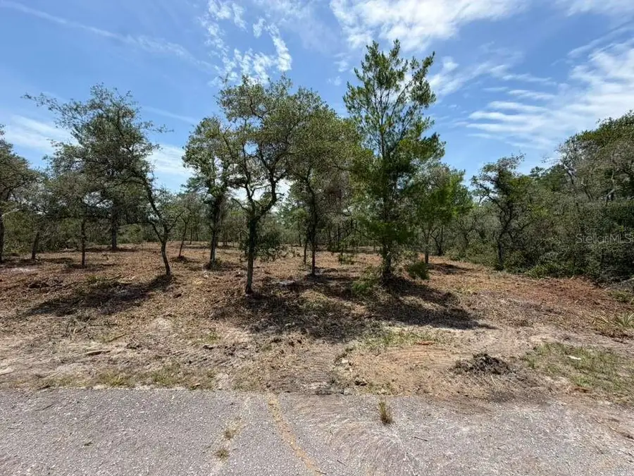 Fisher Way Track, Ocklawaha, FL 32179 - #2