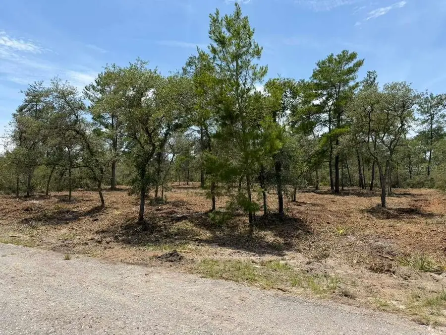 Fisher Way Track, Ocklawaha, FL 32179 - #3