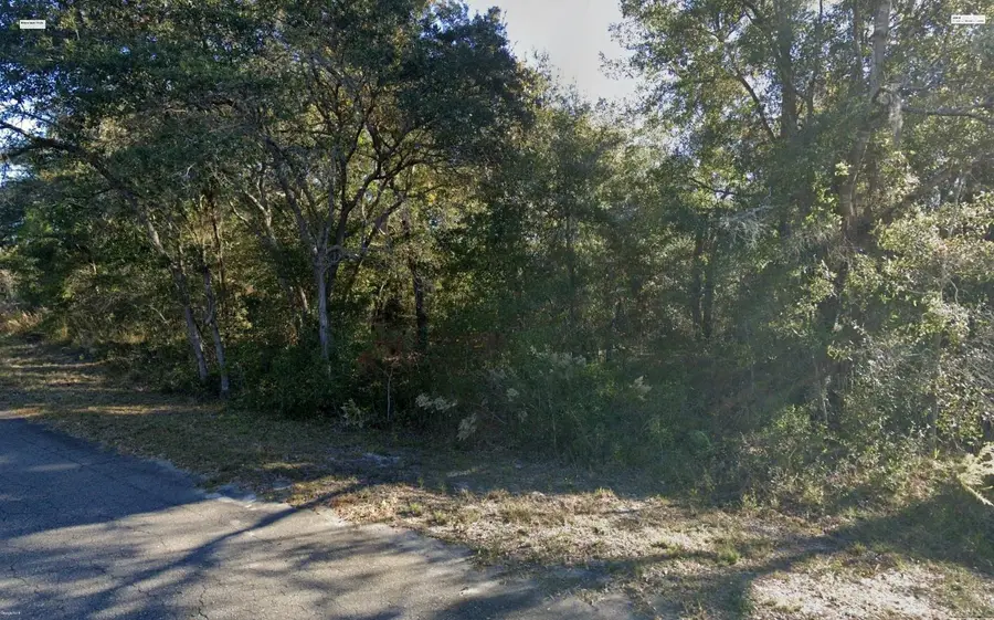 Fisher Lane Place, Ocklawaha, FL 32179 - #2