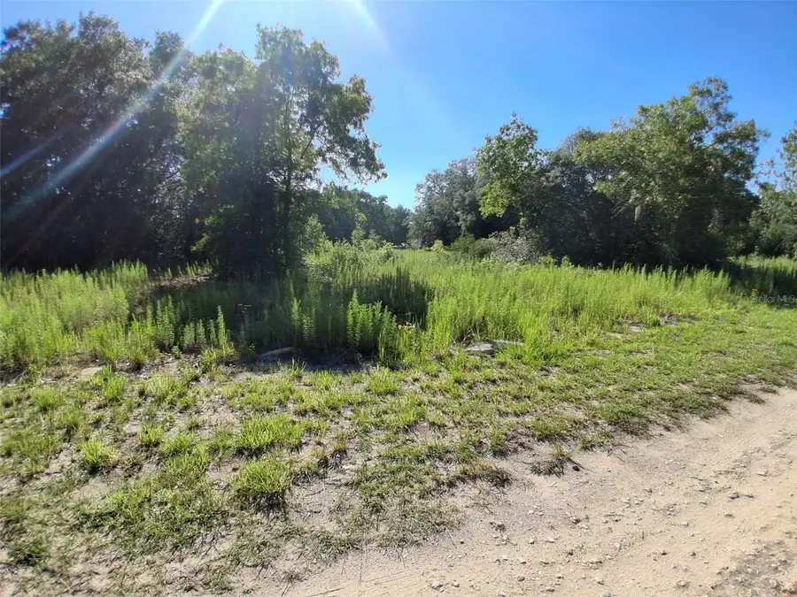 Tbd Sw 146th Avenue, Ocala, FL 34481 - #3