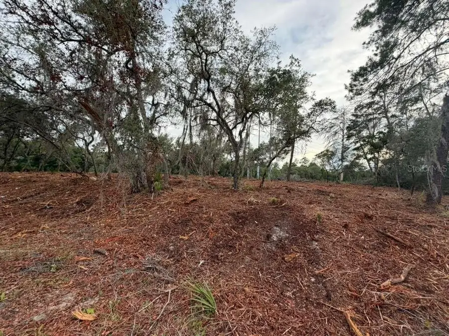Sequoia Trail, Ocklawaha, FL 32179 - #2